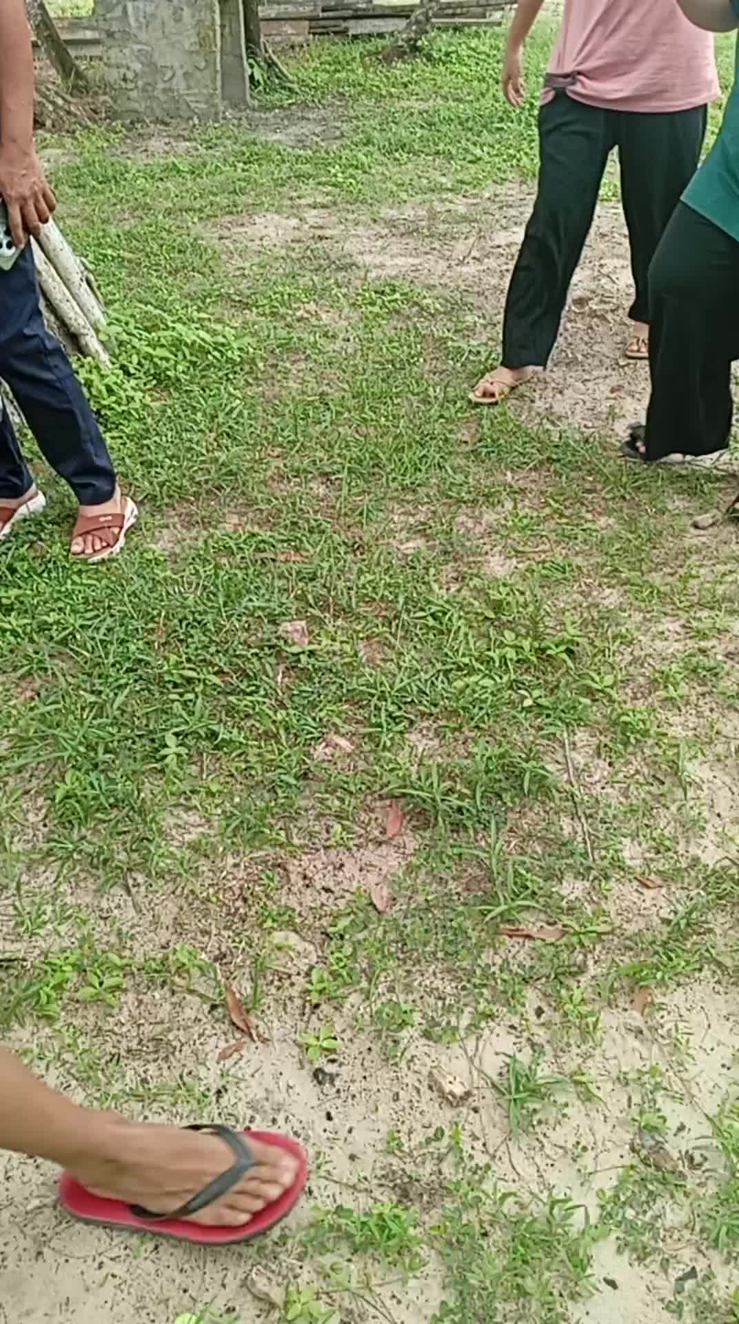 @dayang su