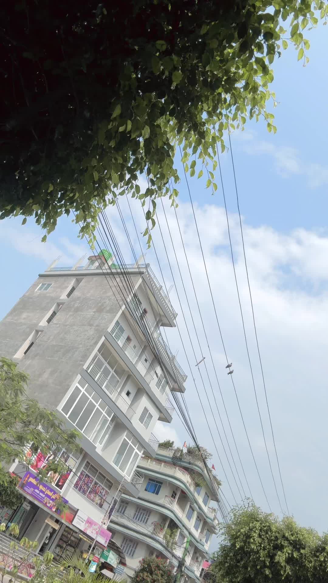 @Gita Dahal mainali