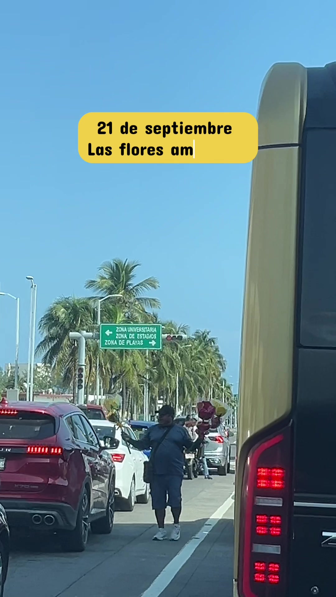 @veracruzmarysol