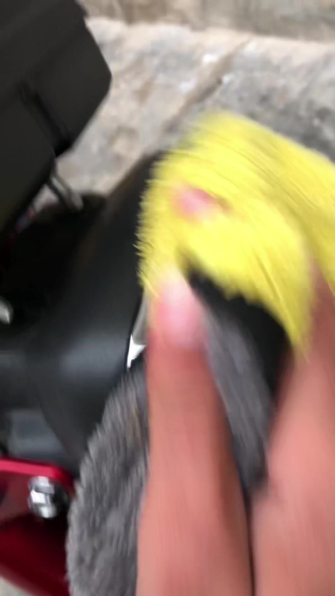 @Viral honda✅