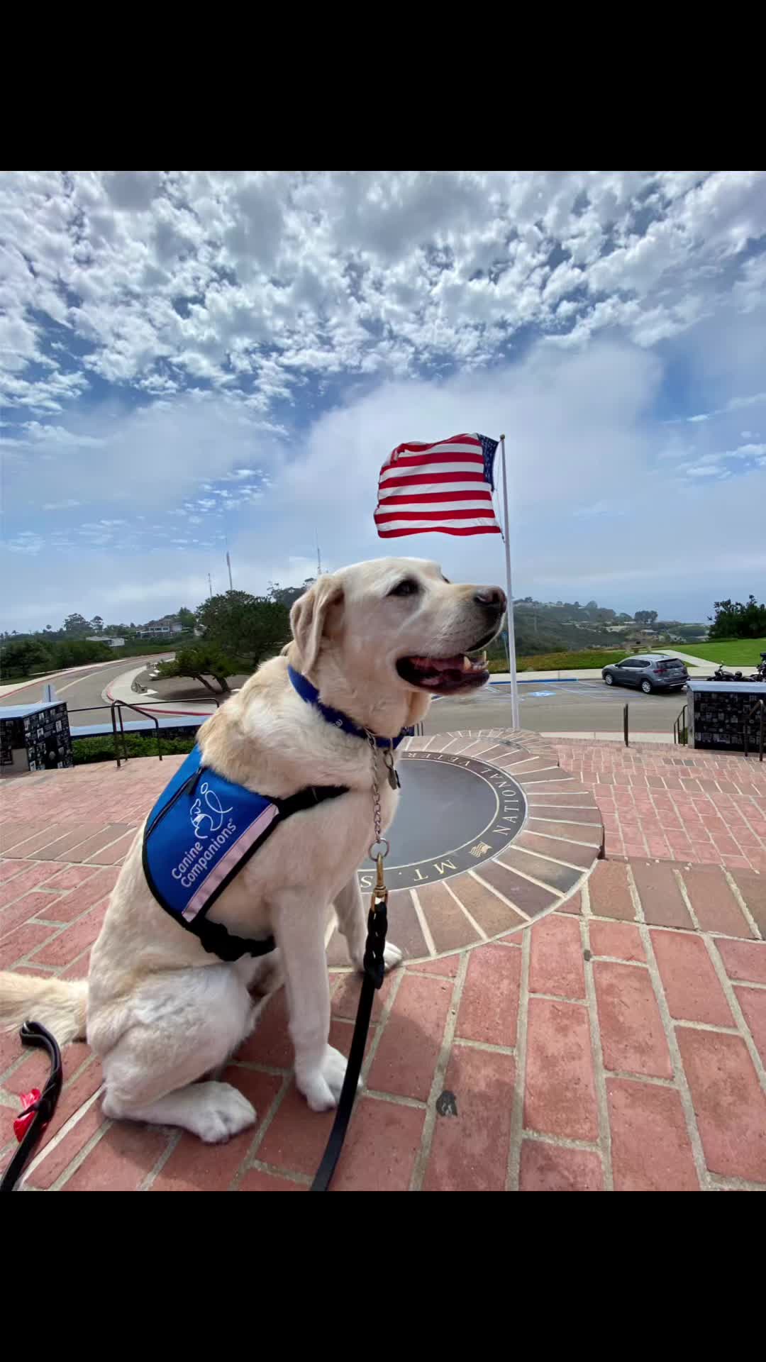 @K9_Raider