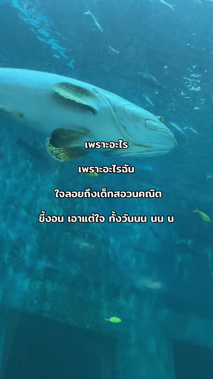 @cuz'gnius