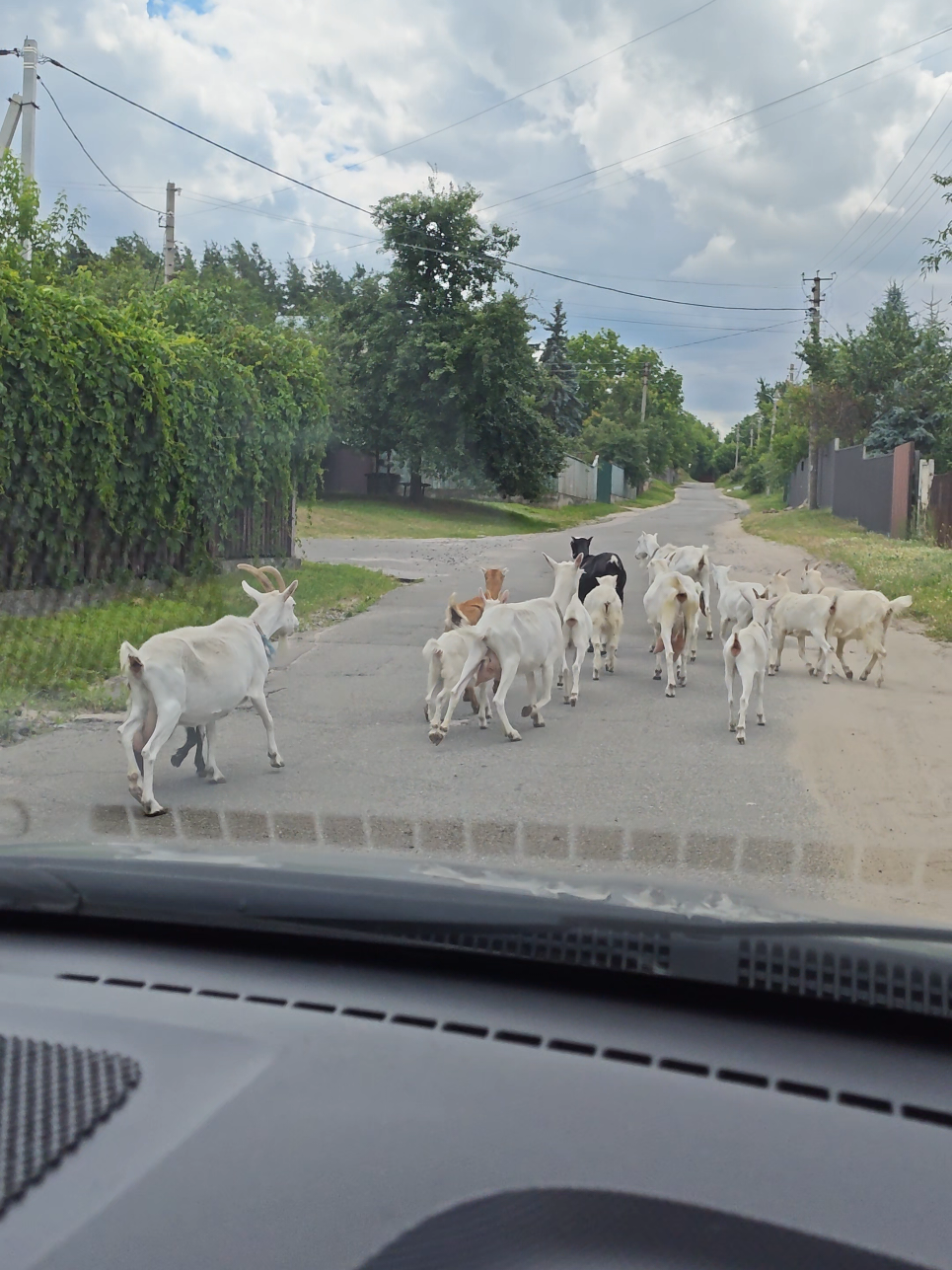 @Настуся