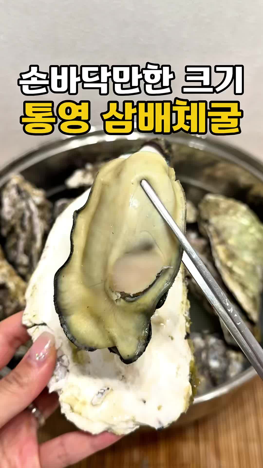 @싱싱햇 - 365일 싱싱한 햇 제철 먹거리