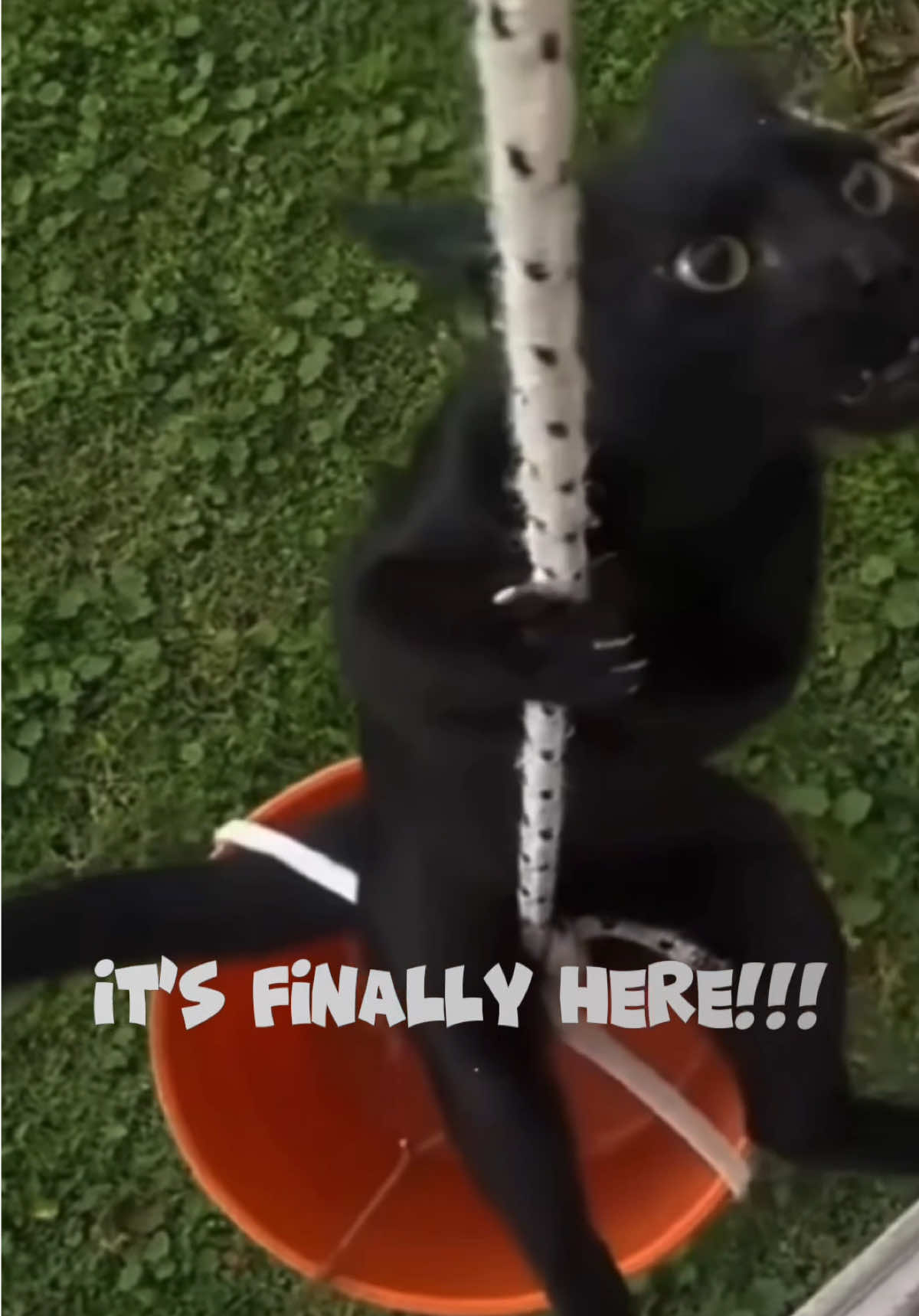 @kittygametime