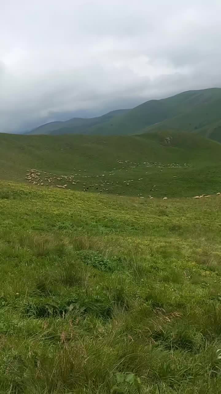 @vusal.32