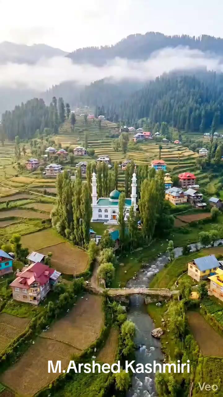 @M,Arshad kashmiri