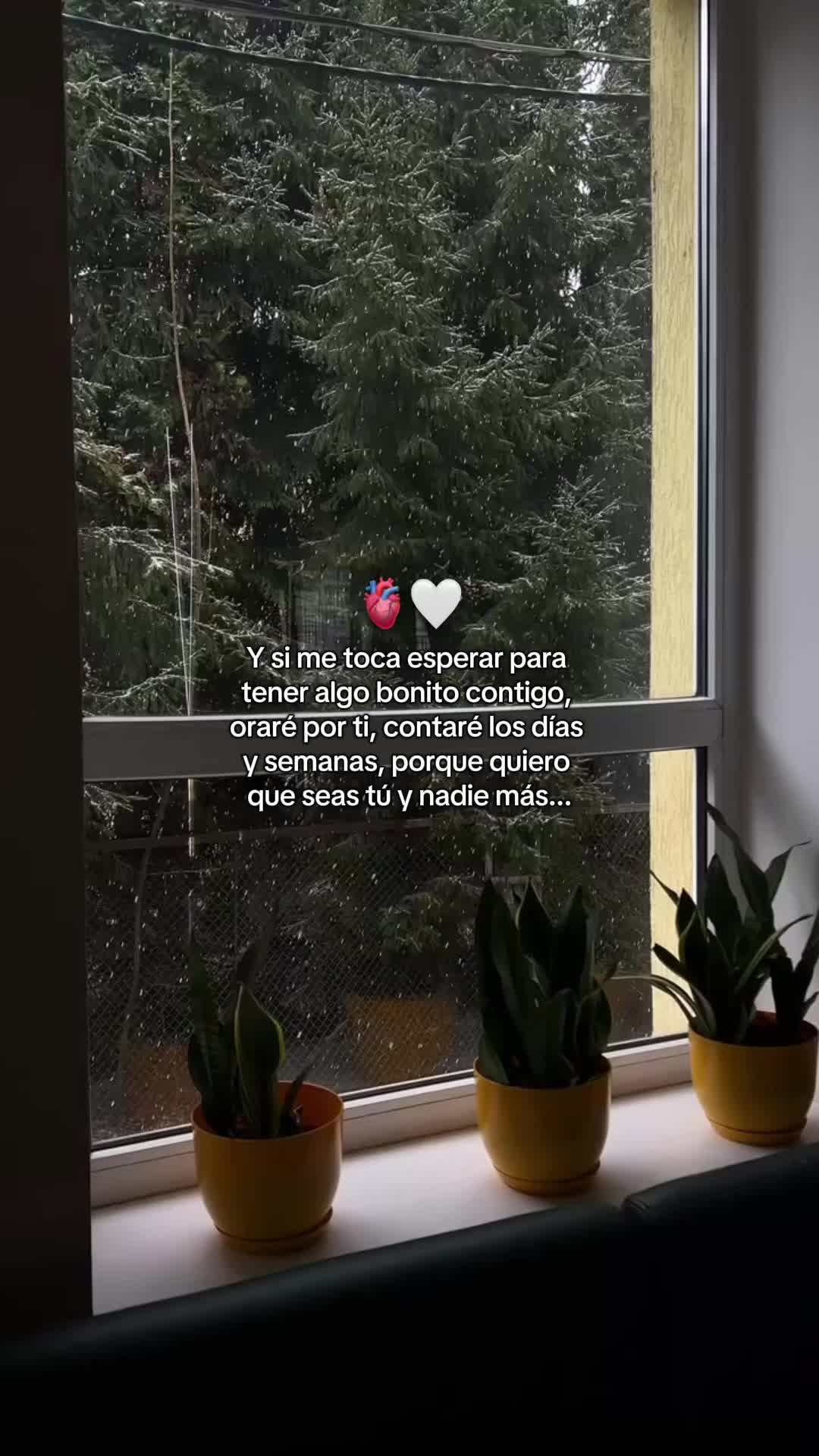 @𝙁𝙍𝘼𝙎𝙀𝙎🧃