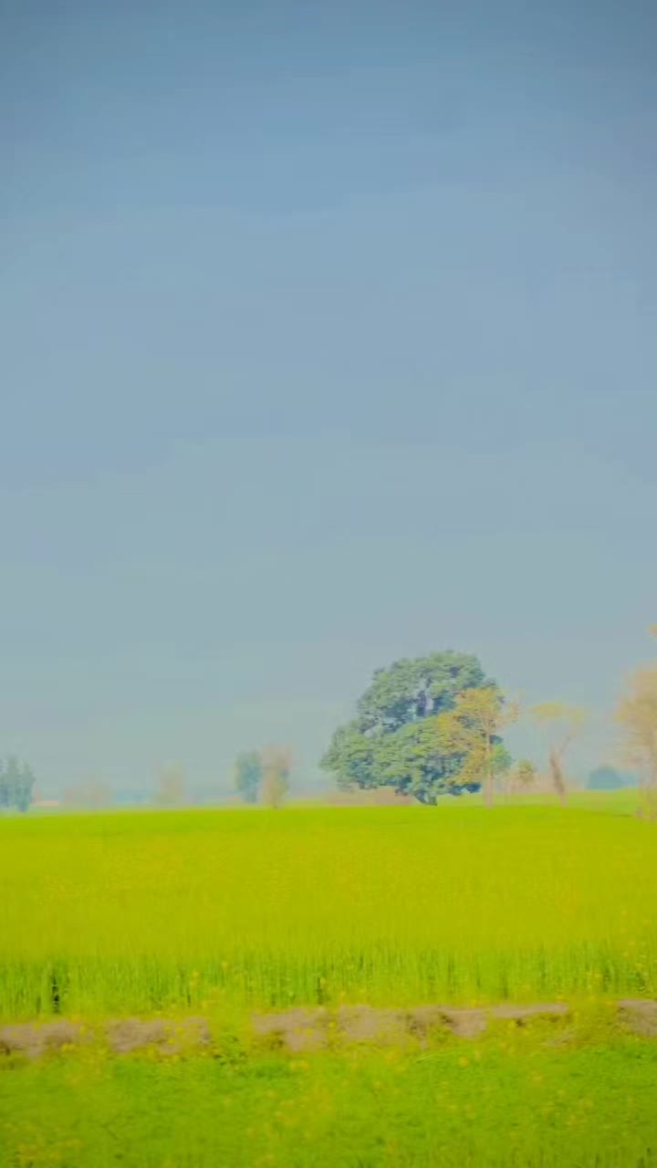 @Uzair ALi