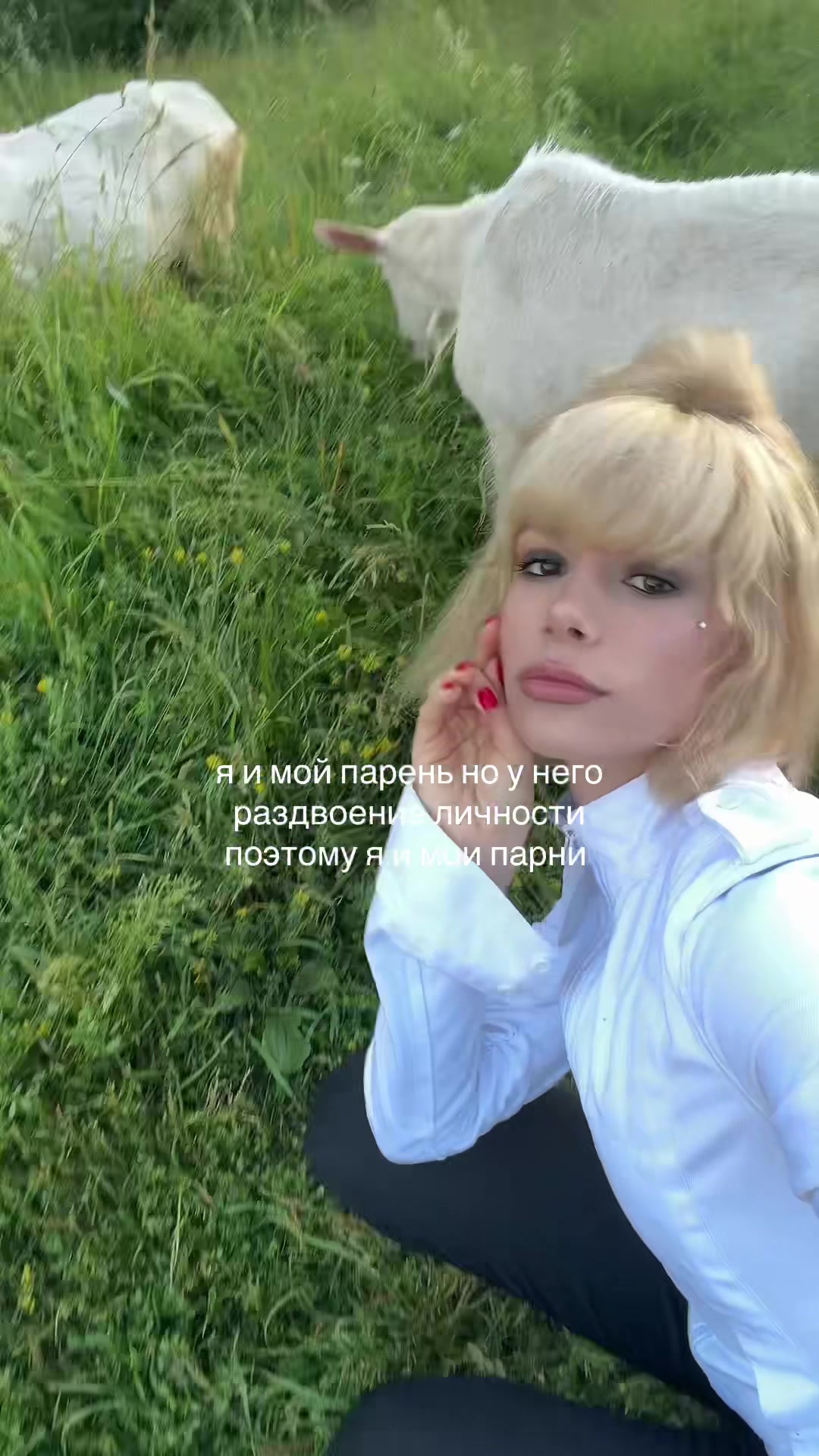 @lyuba