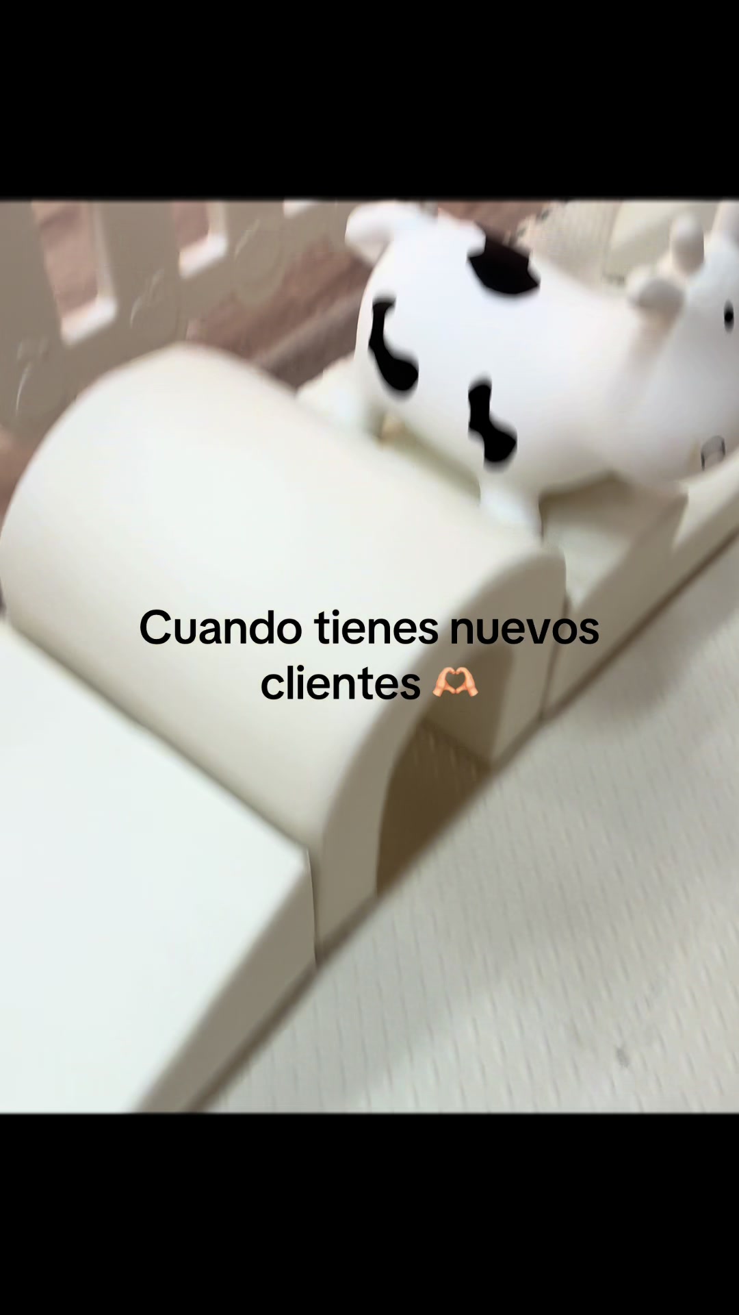 @Laura Sosa