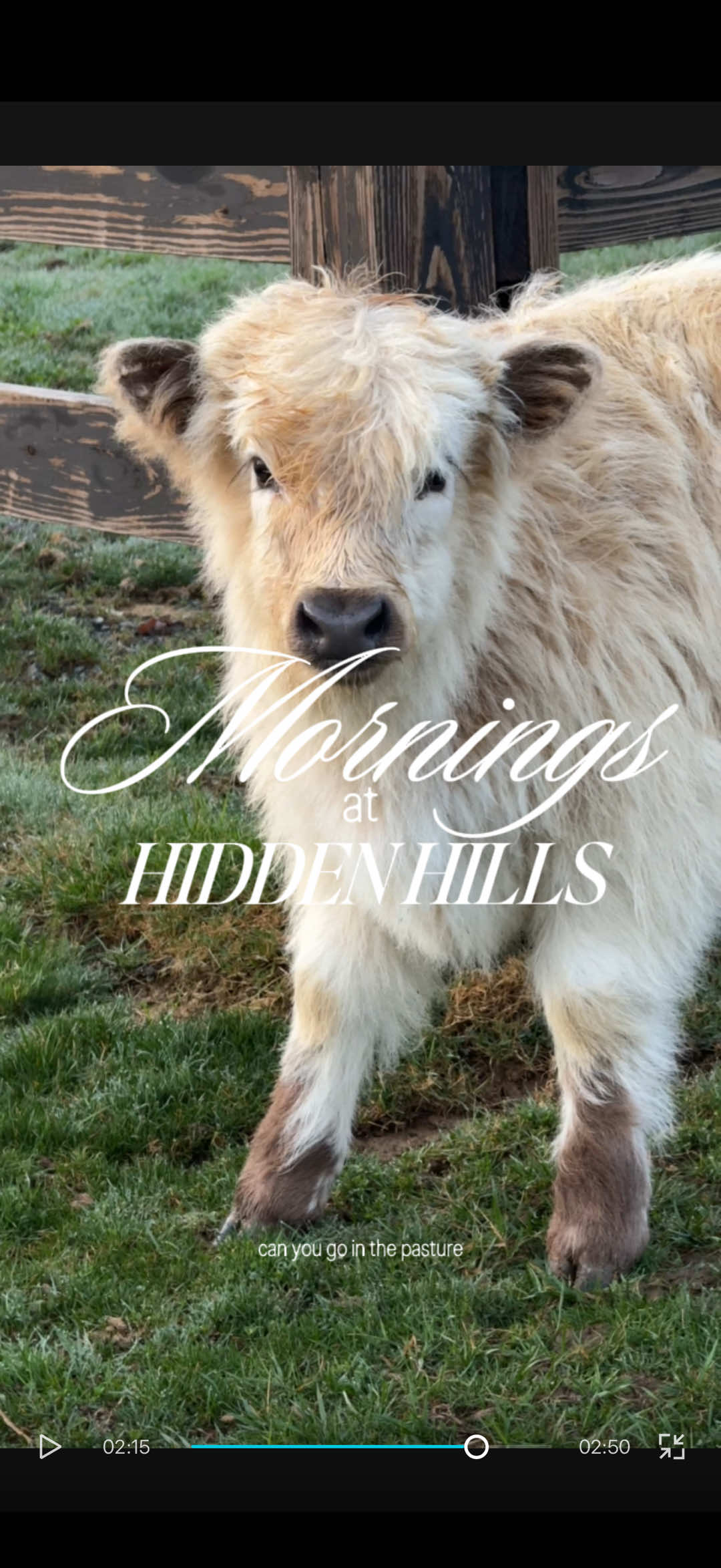 @hiddenhillsequestrian