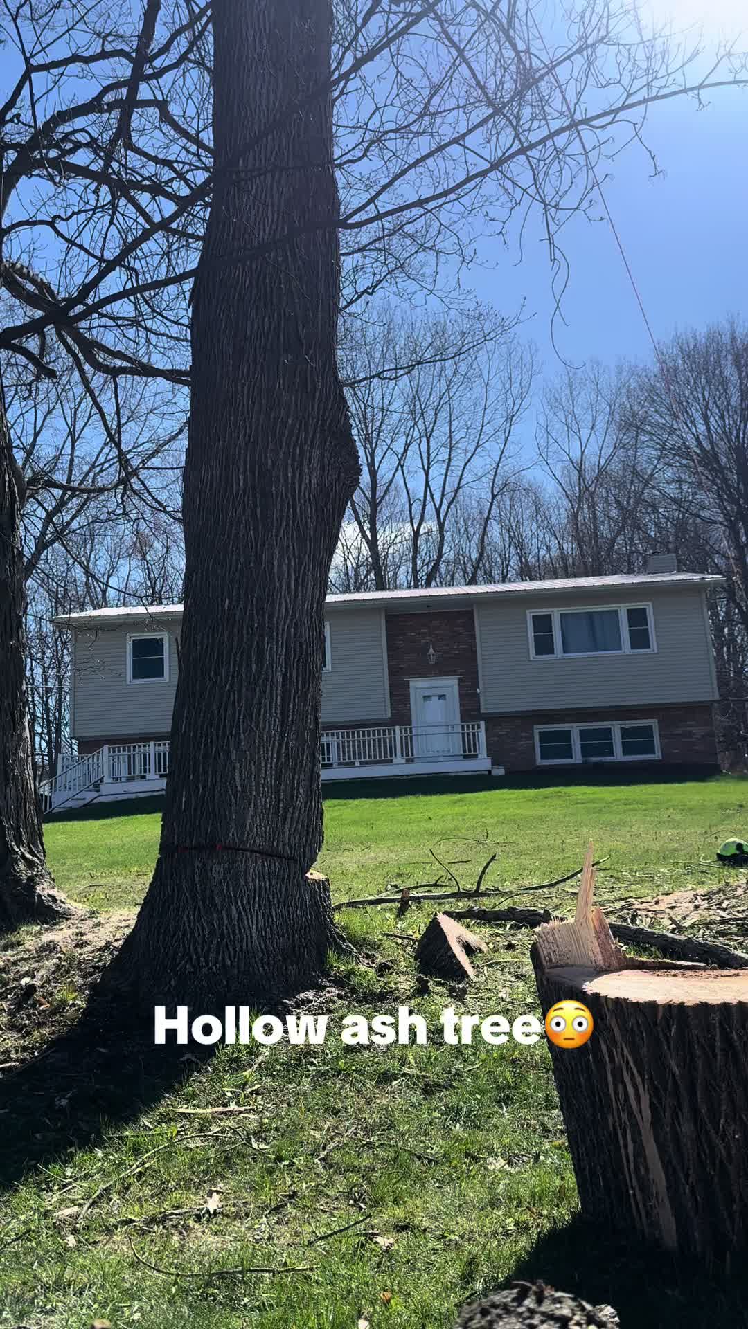 @derouchiechris
