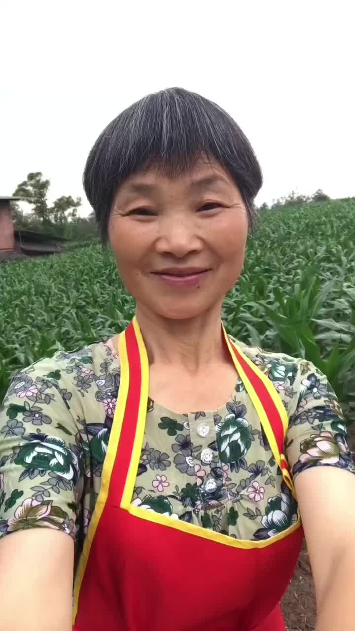 @grandma yan