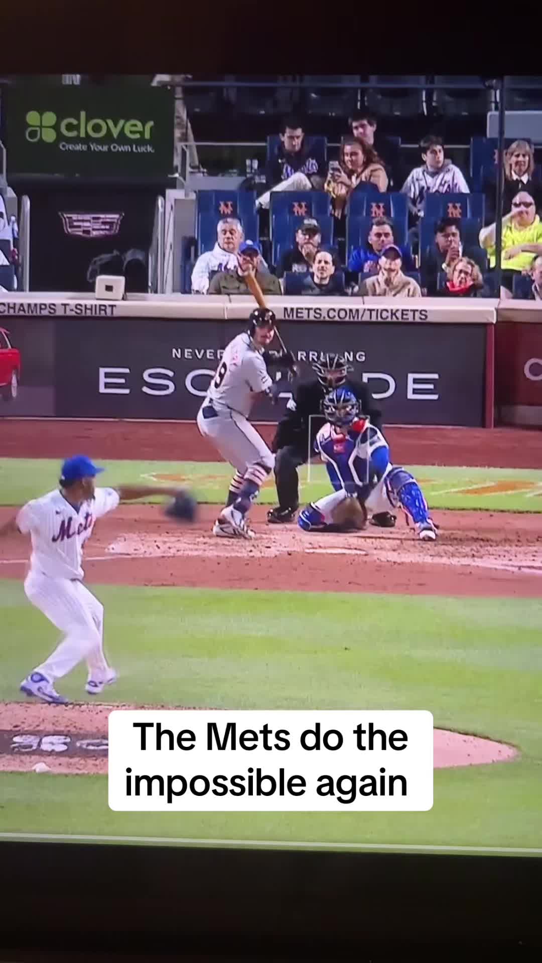 @MD