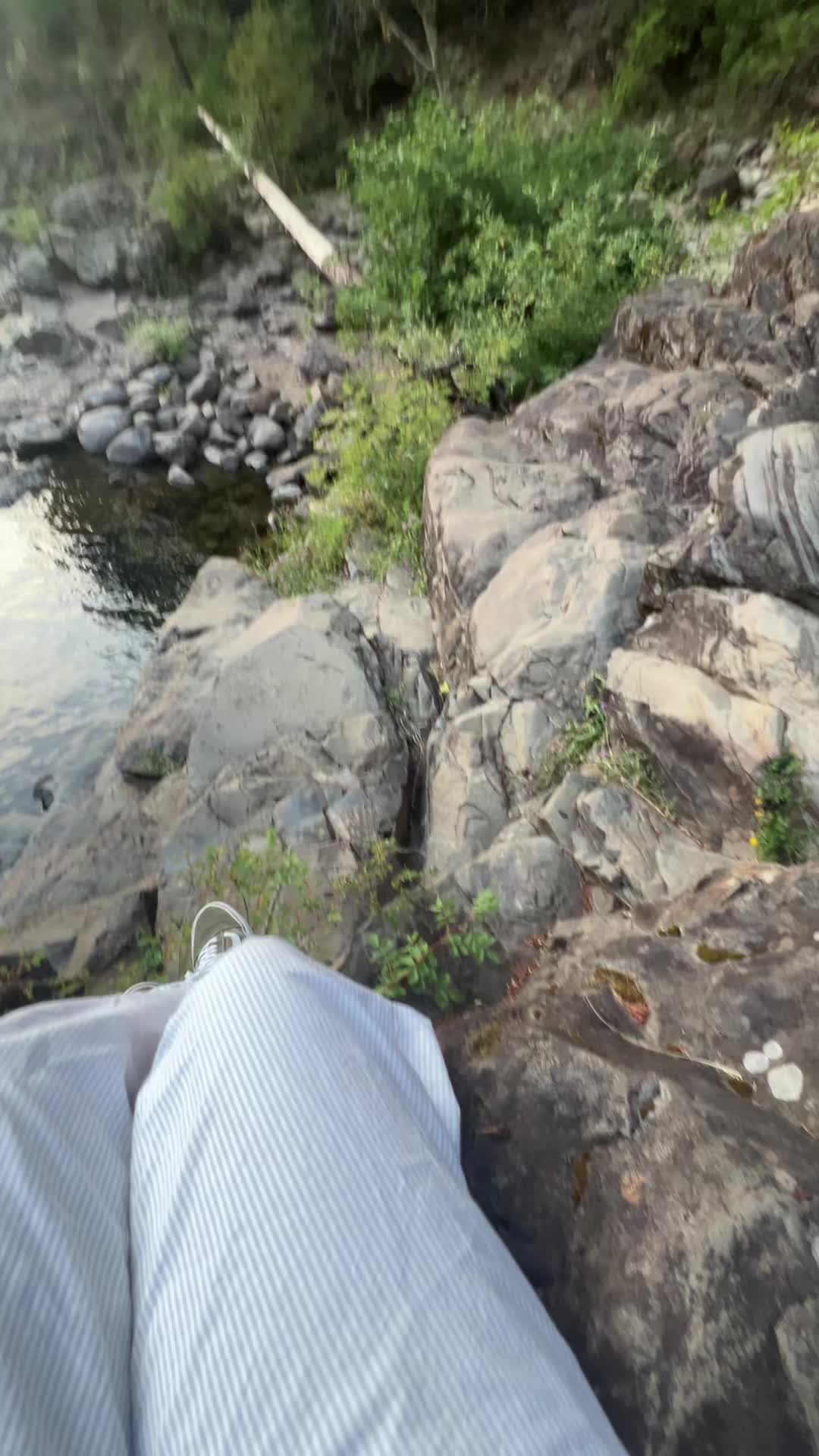 @starlillyyy0