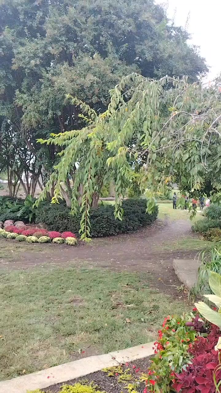 @Guadalupe Salgado