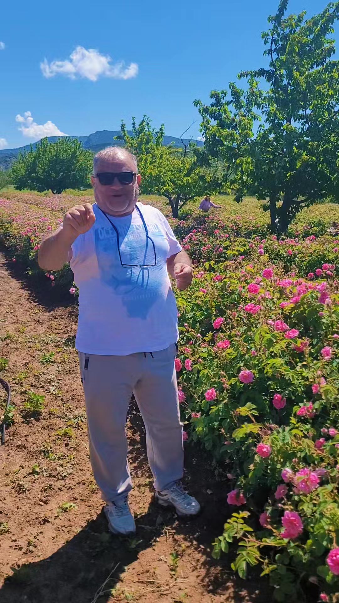 @ALİ URLA