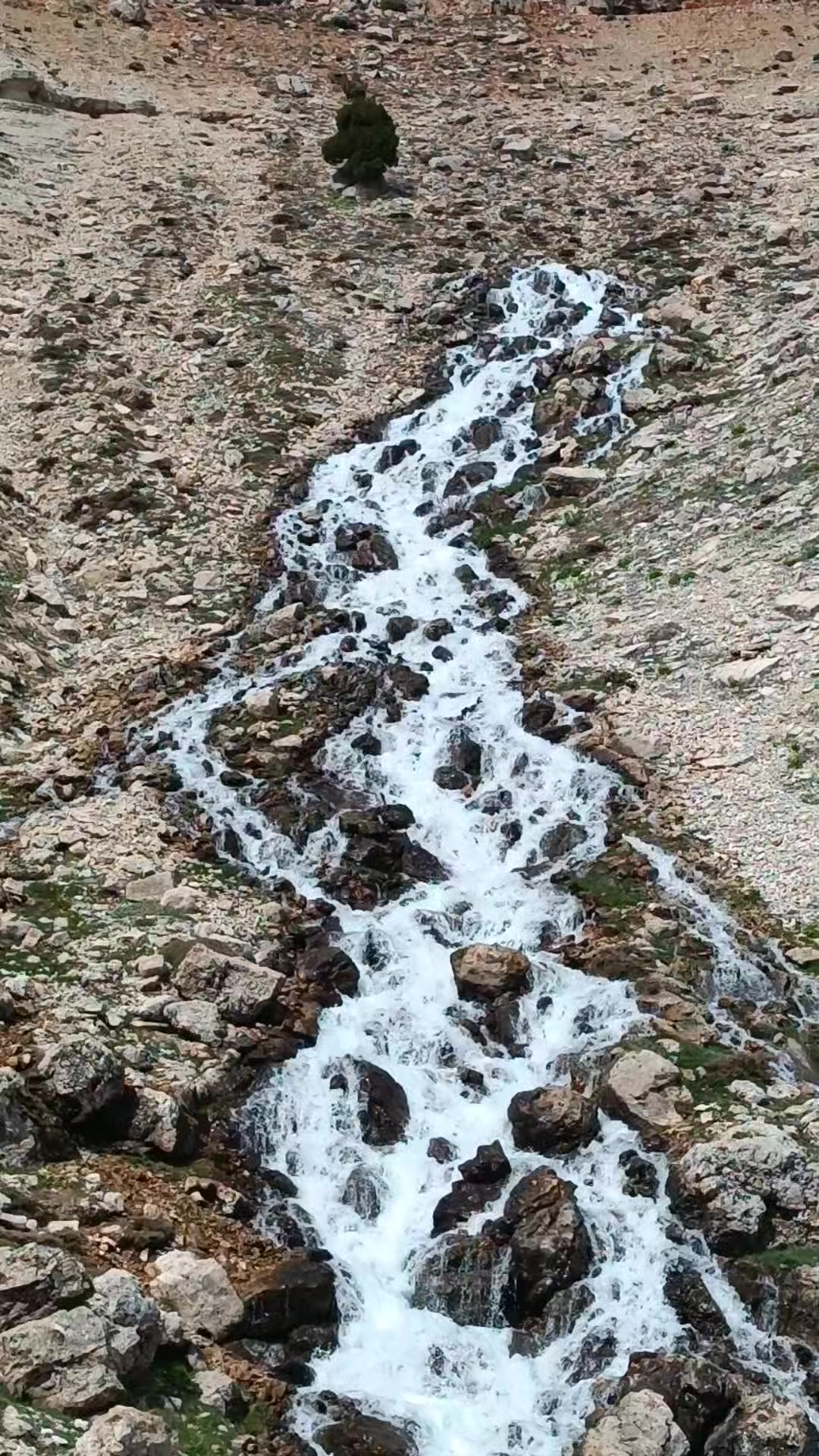 @DAĞCI.46