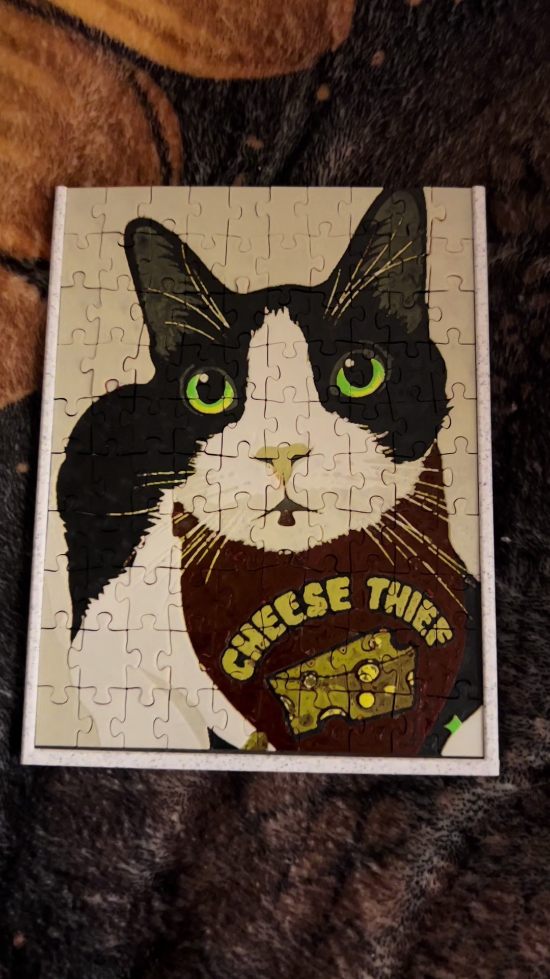 @Concerned_Kitty