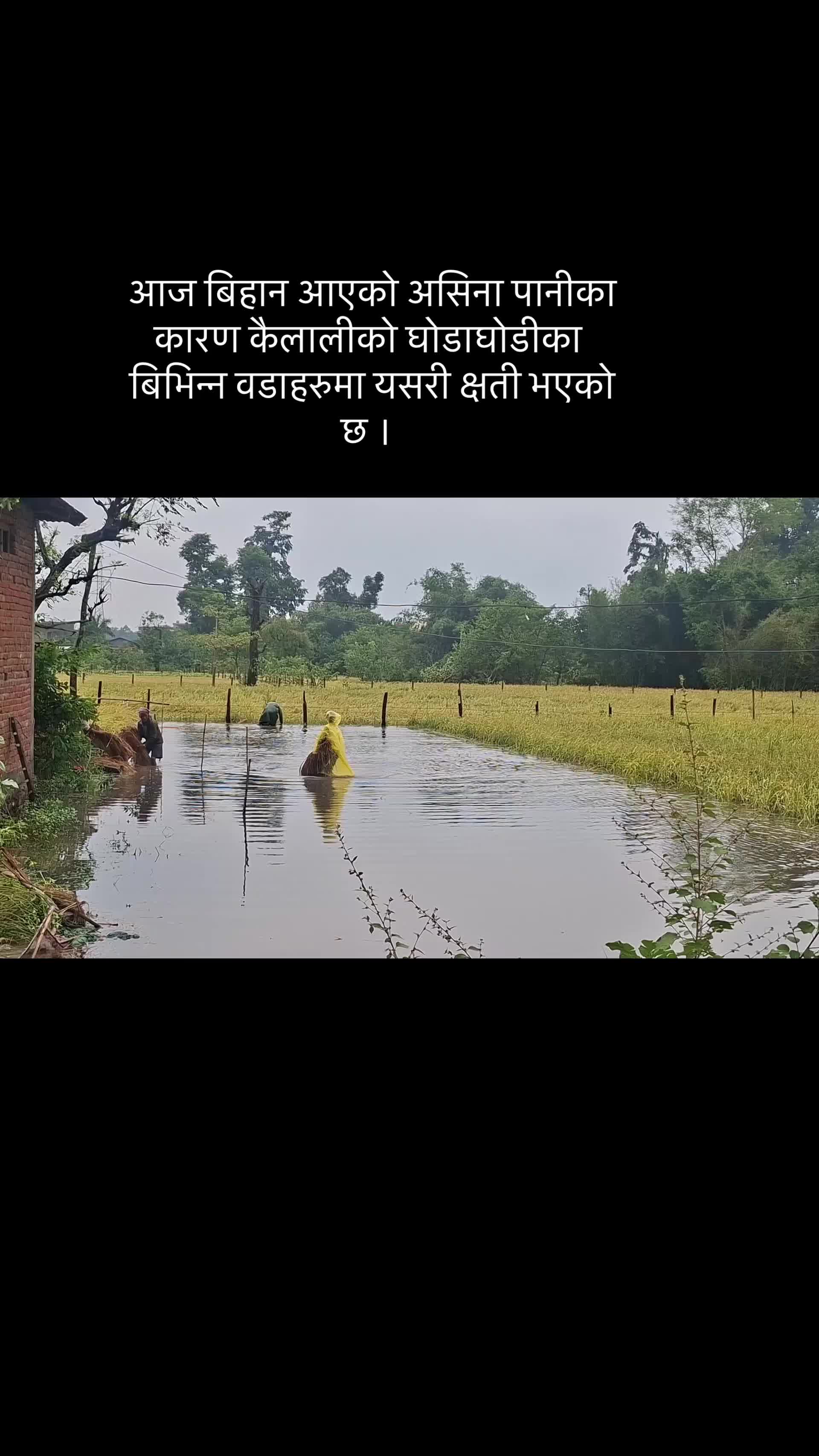 @Indu Kc