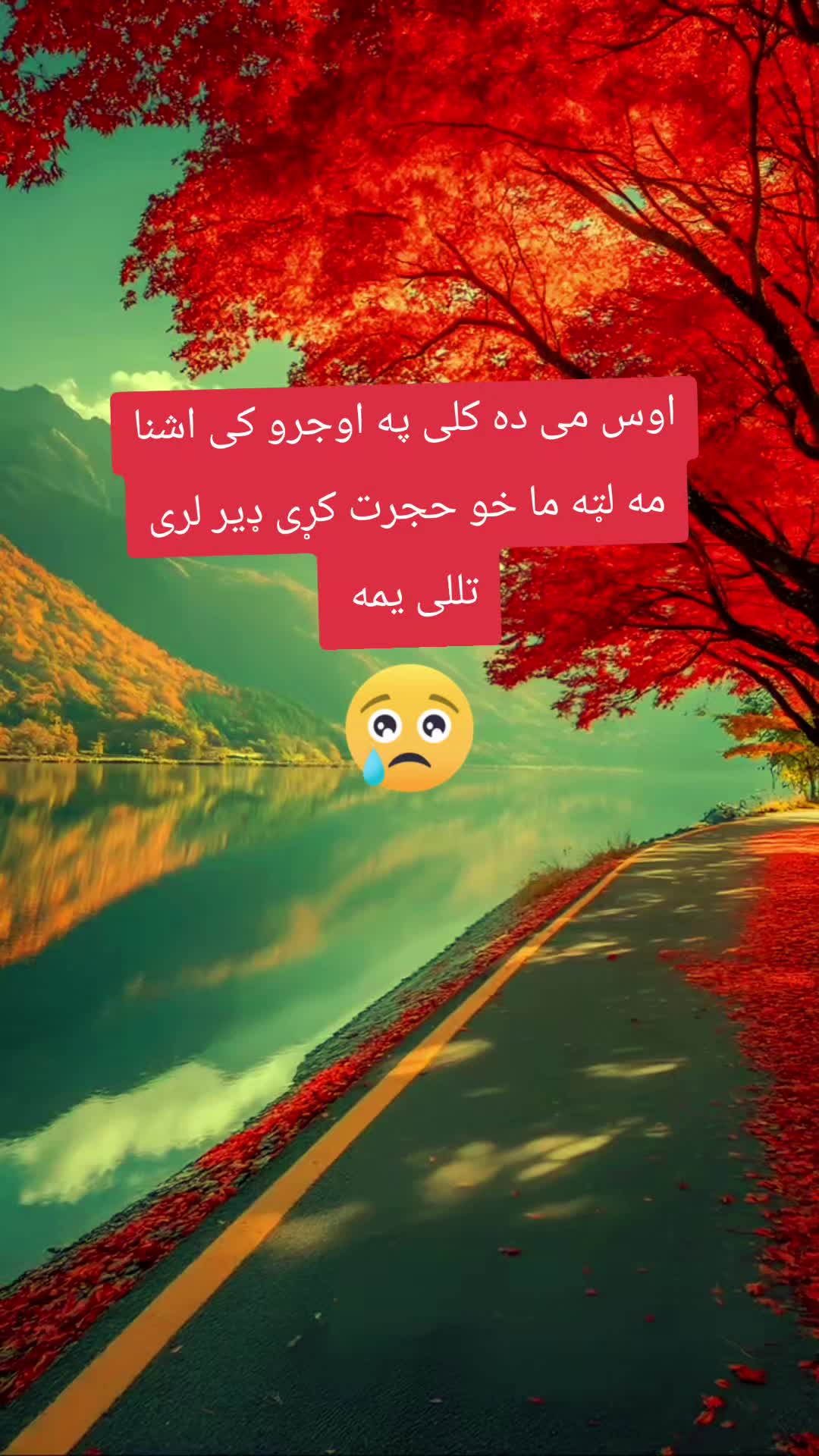 @Amara Noor