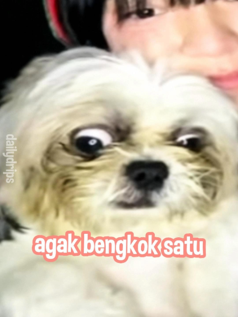 @NazarKingggg 👑