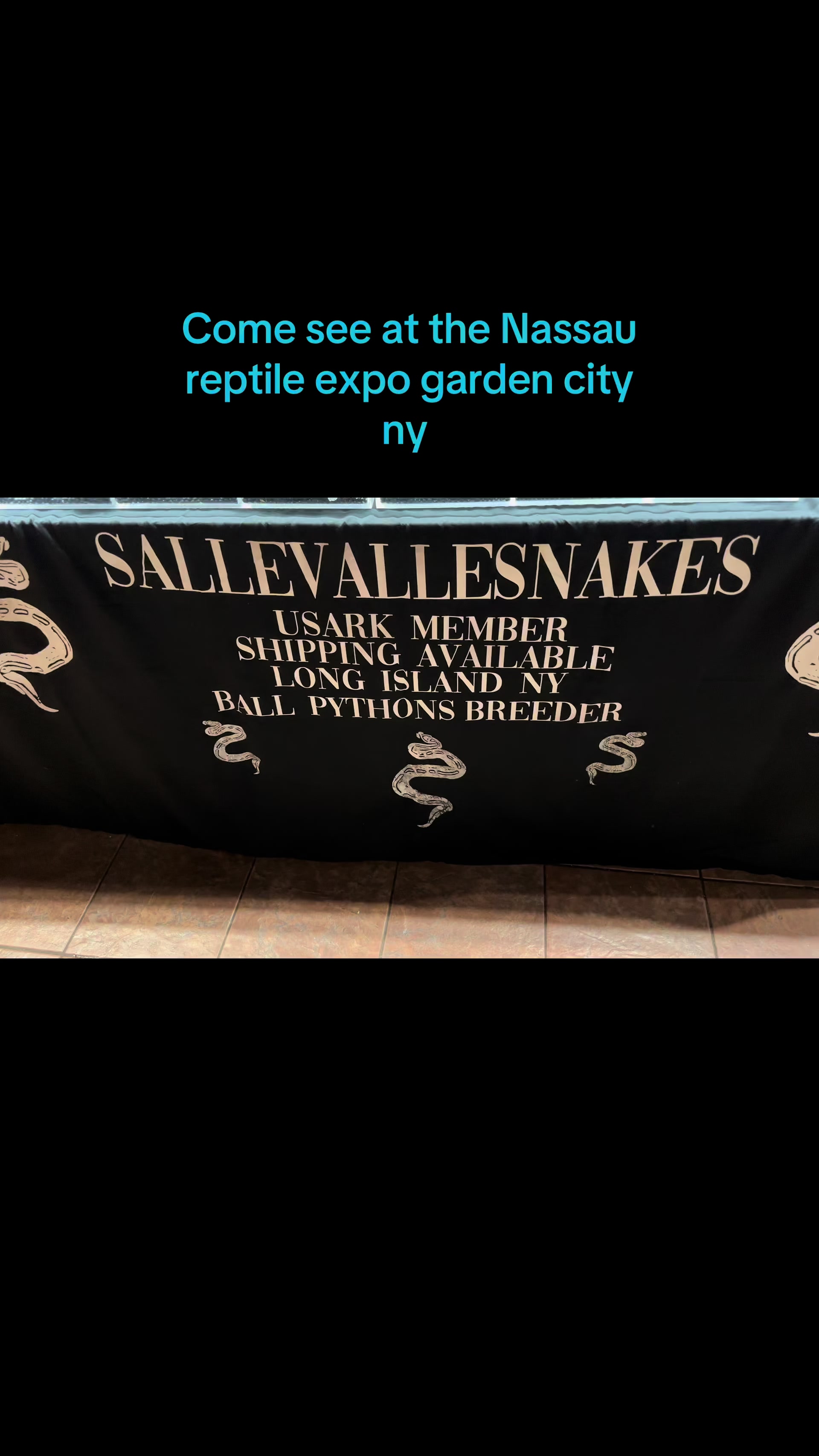 @Sallevallesnakes (jose)