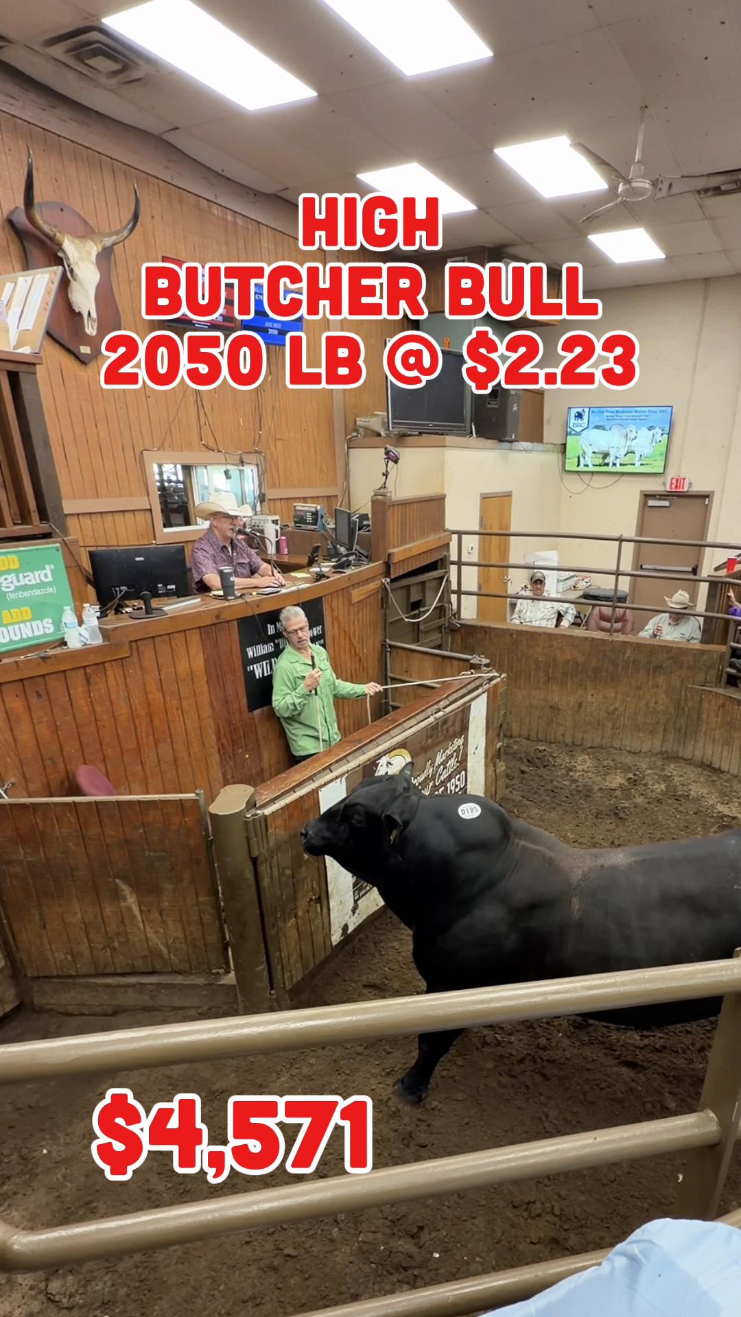 @Cattlemen’s Livestock Market