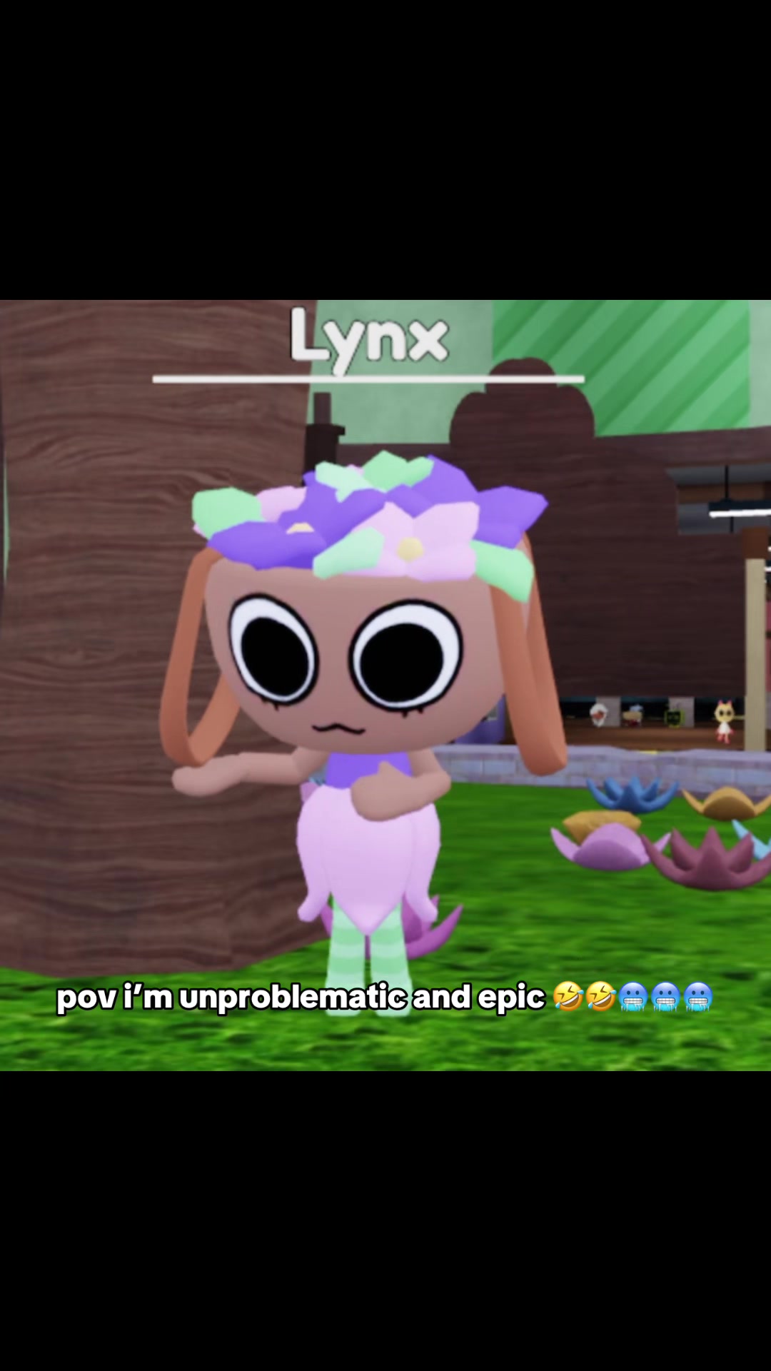 @⌞ ✦ ⌝ lynx ⸝⸝ elliot ◞