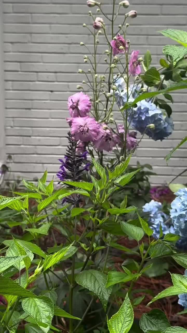 @The FlowerNP