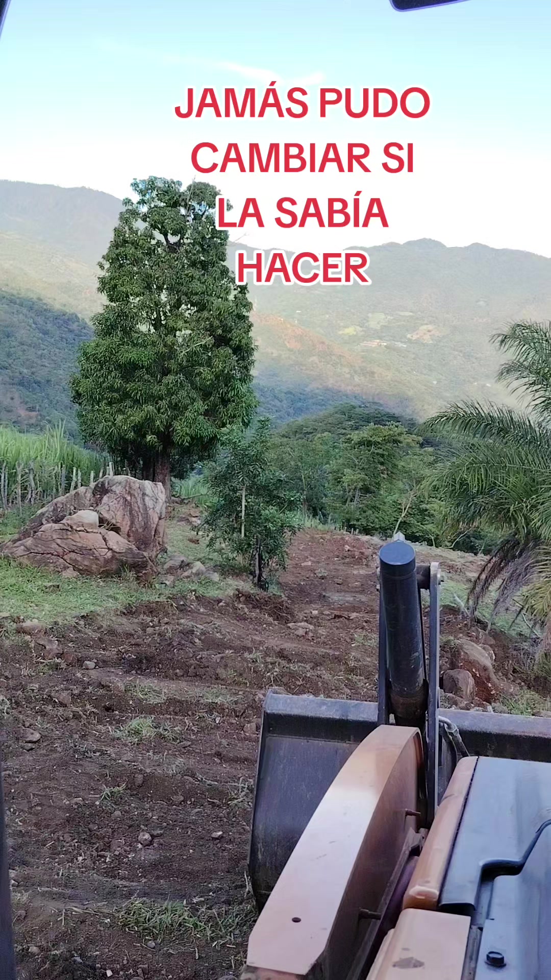 @Mex
