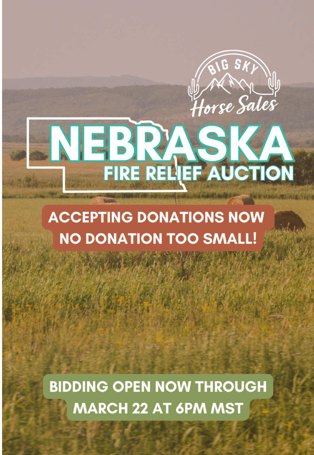 @Big Sky Horse Sales
