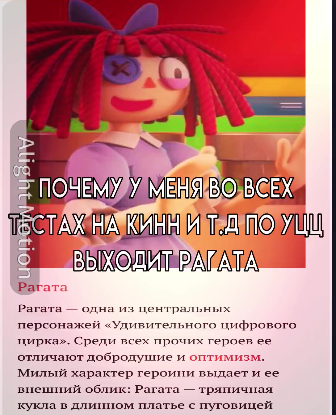 @◌────────────────────◌