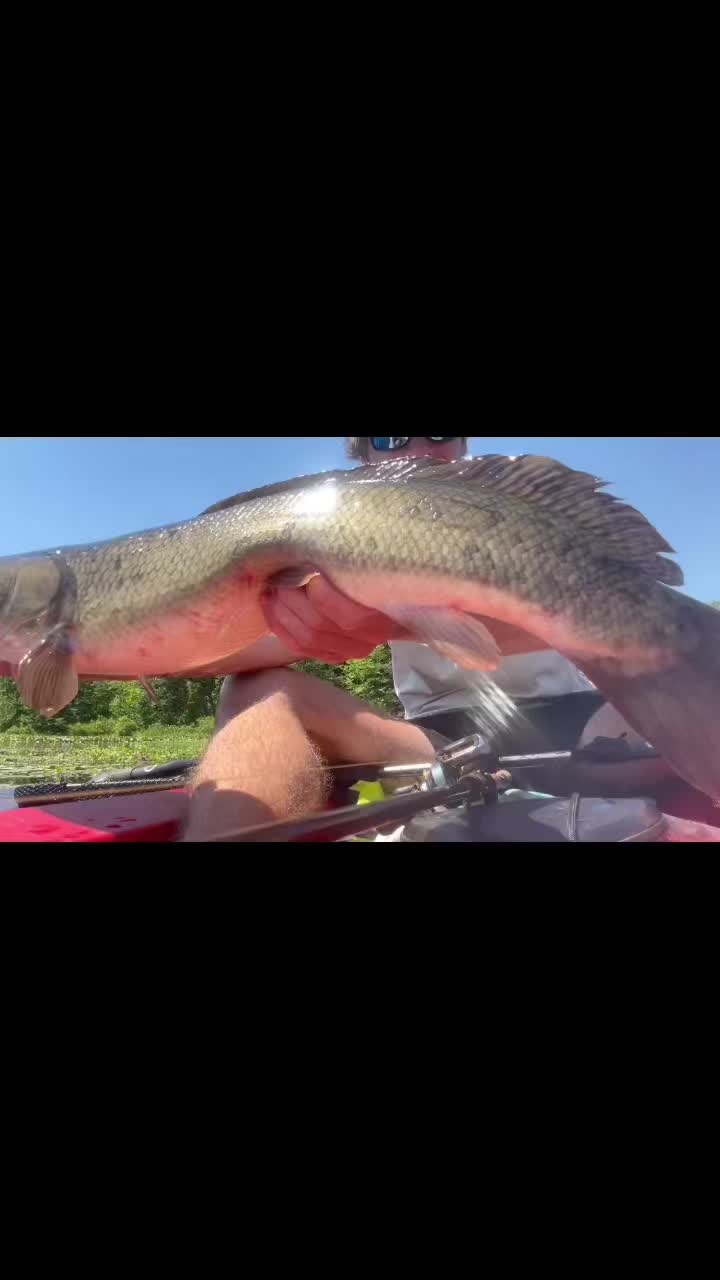 @HookedupSean🦈