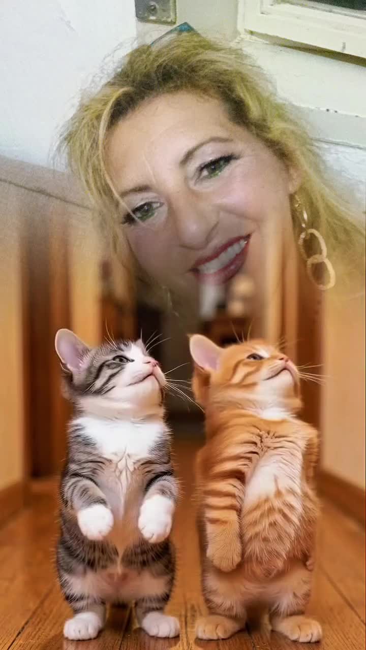 @leonessa16