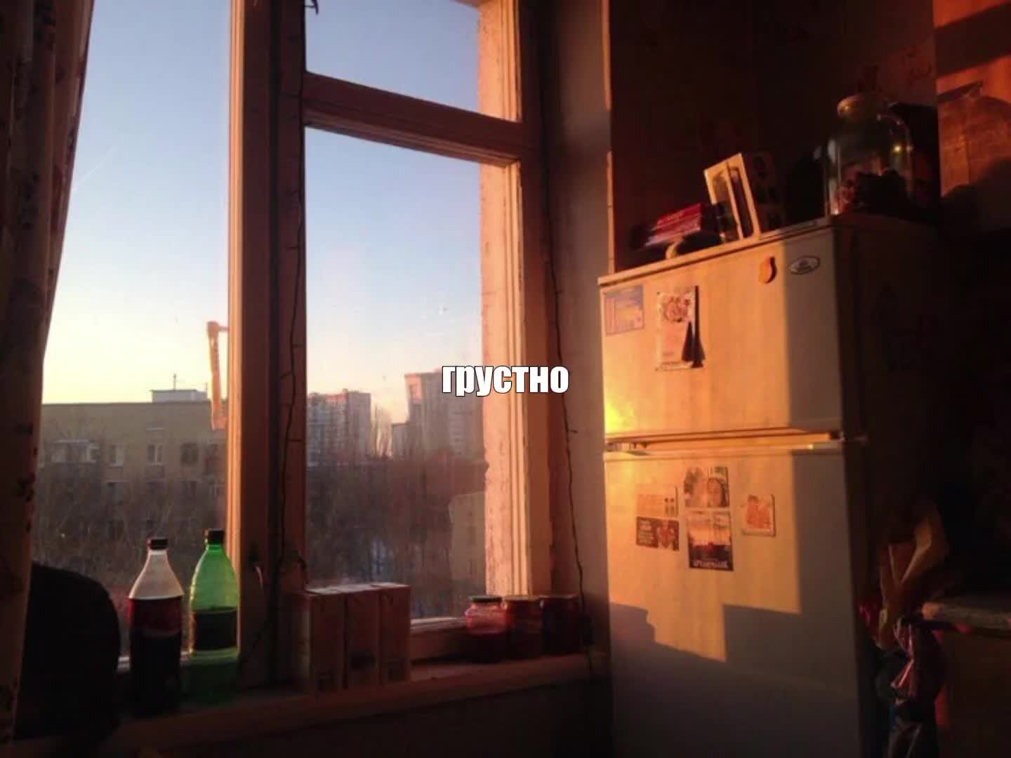@🕊