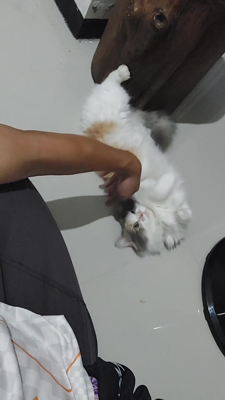 @RIZQI