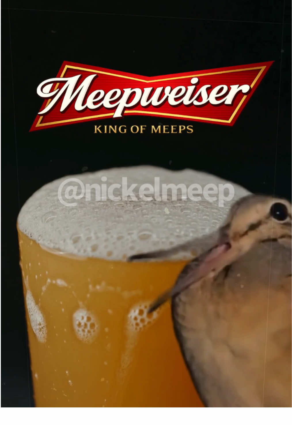 @nickelmeep