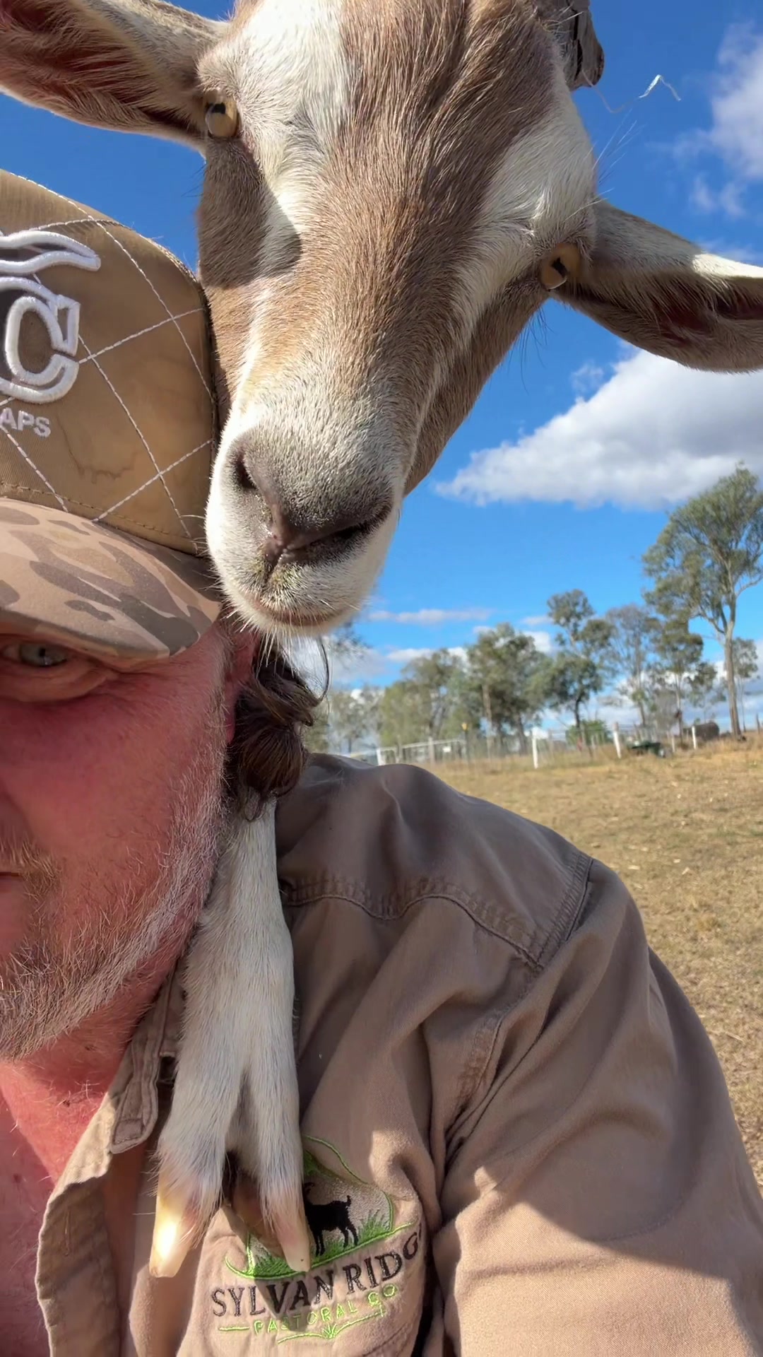 @Thegoatfather