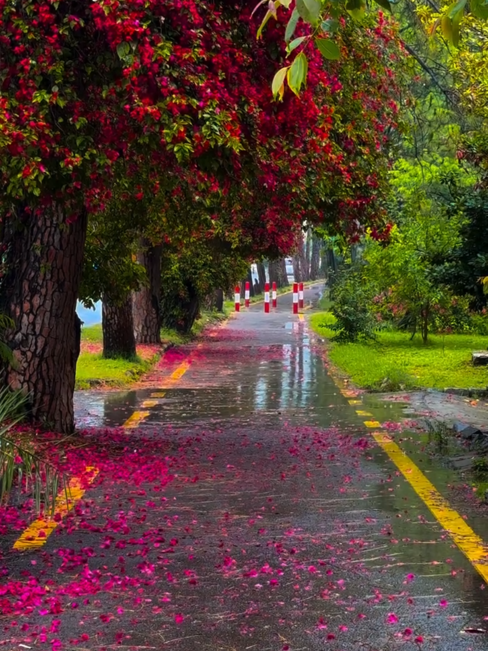@Khurshid Ali