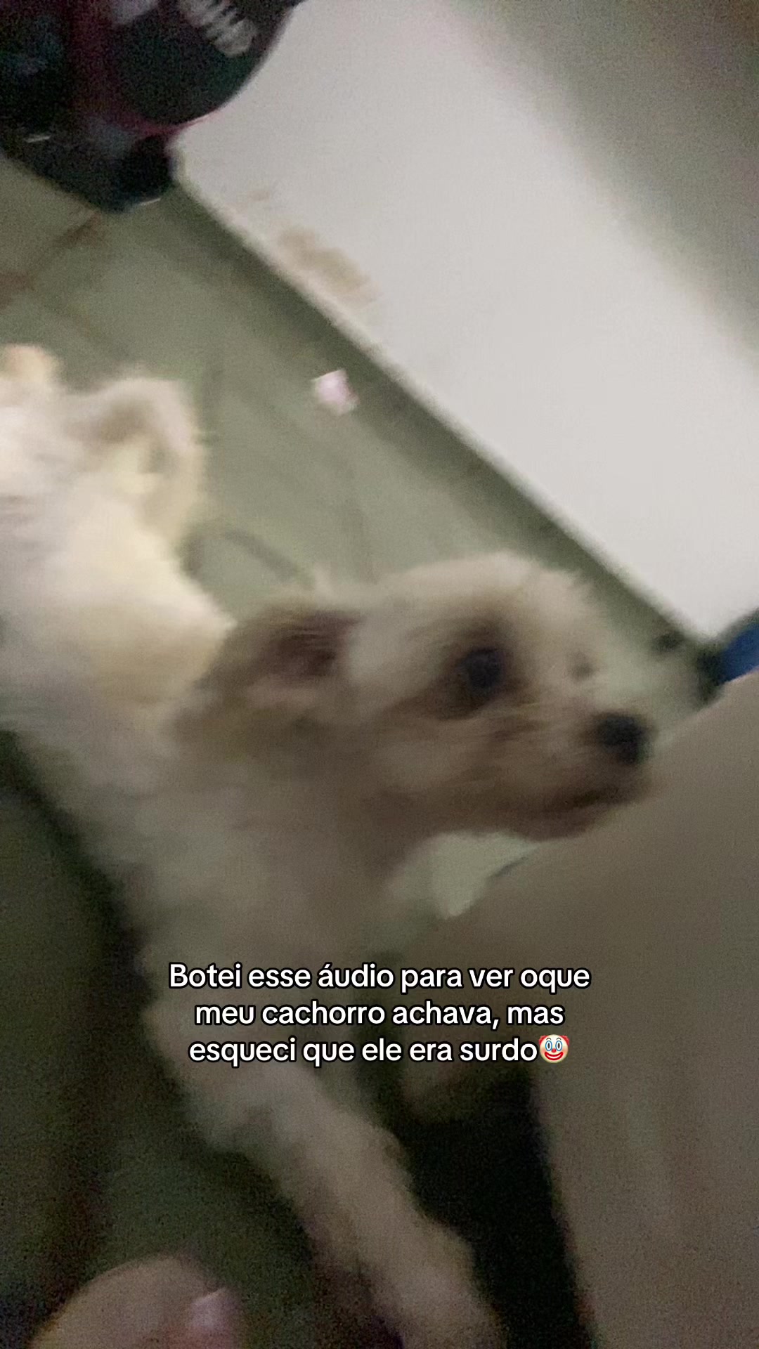 @Bellynha Santos