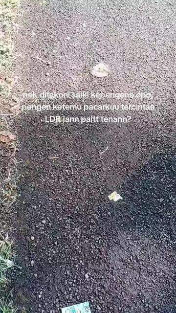 @ocan😼