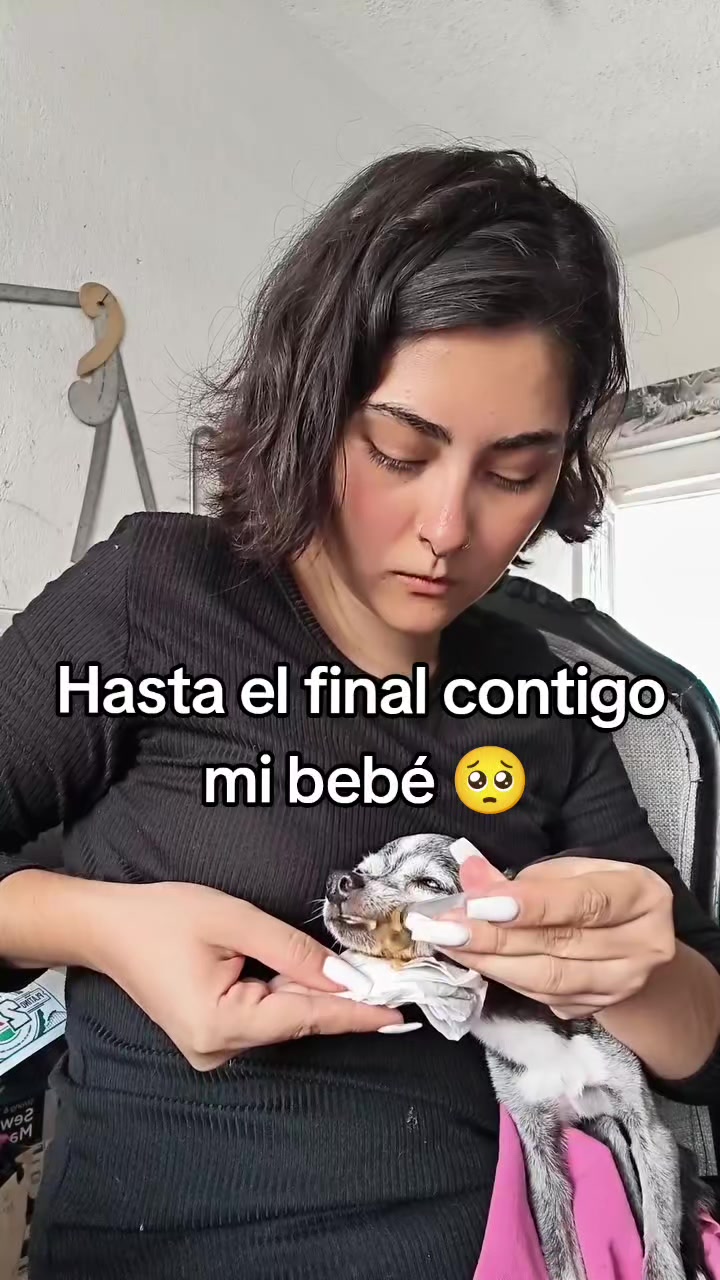 @Dashadakya