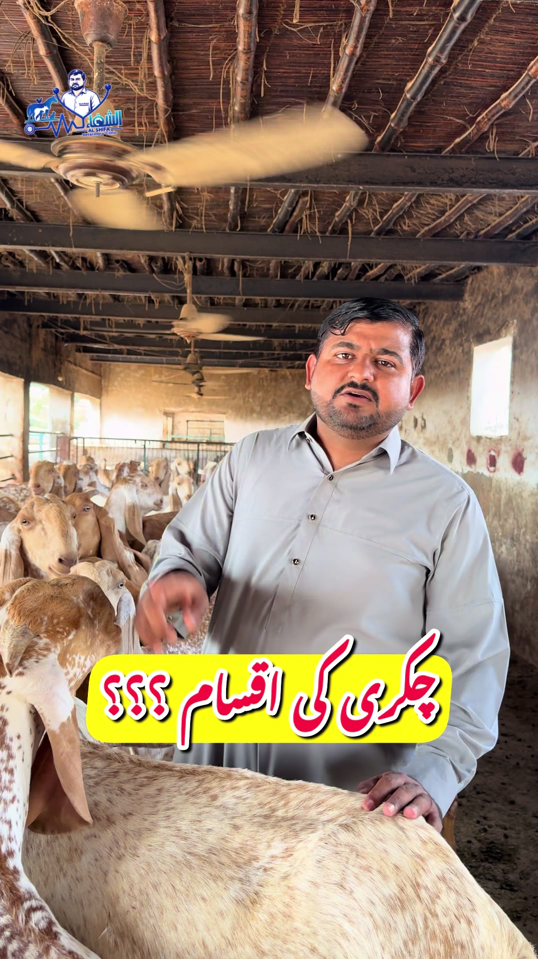 @Dr.Mohsin