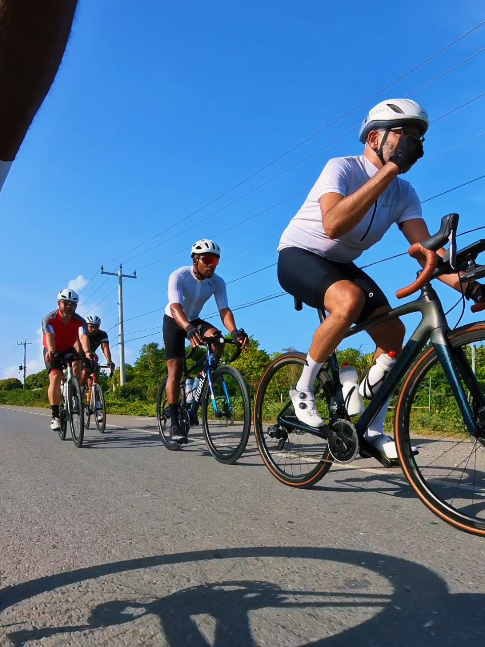 @pedalpulse