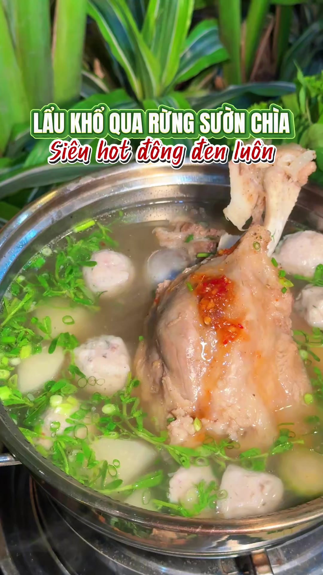 @ViVu cùng Nam