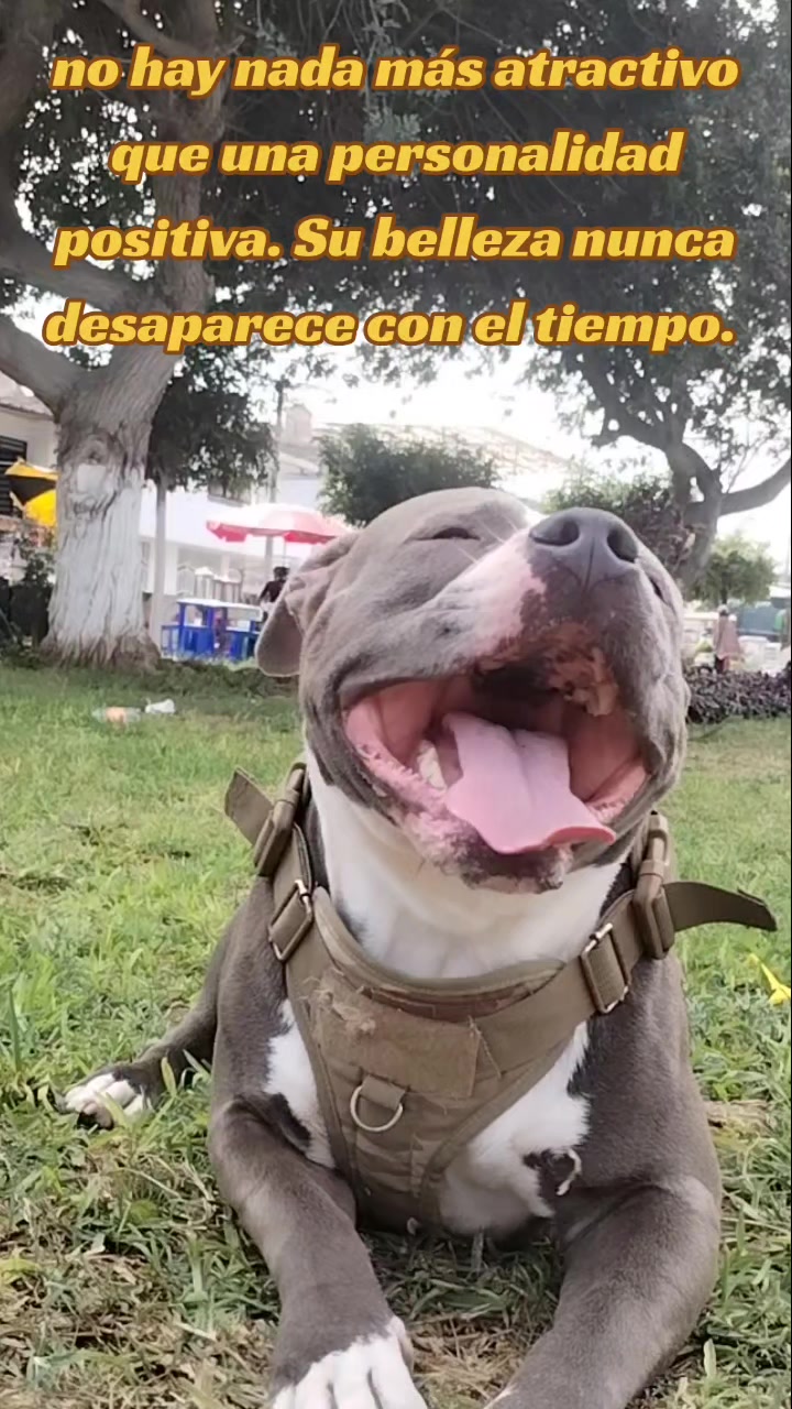 @🇵🇪MEDRANO🇵🇪