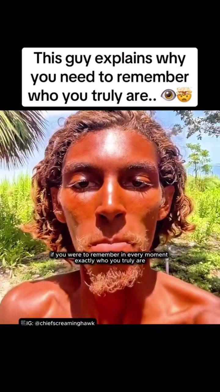 @thedivinecode