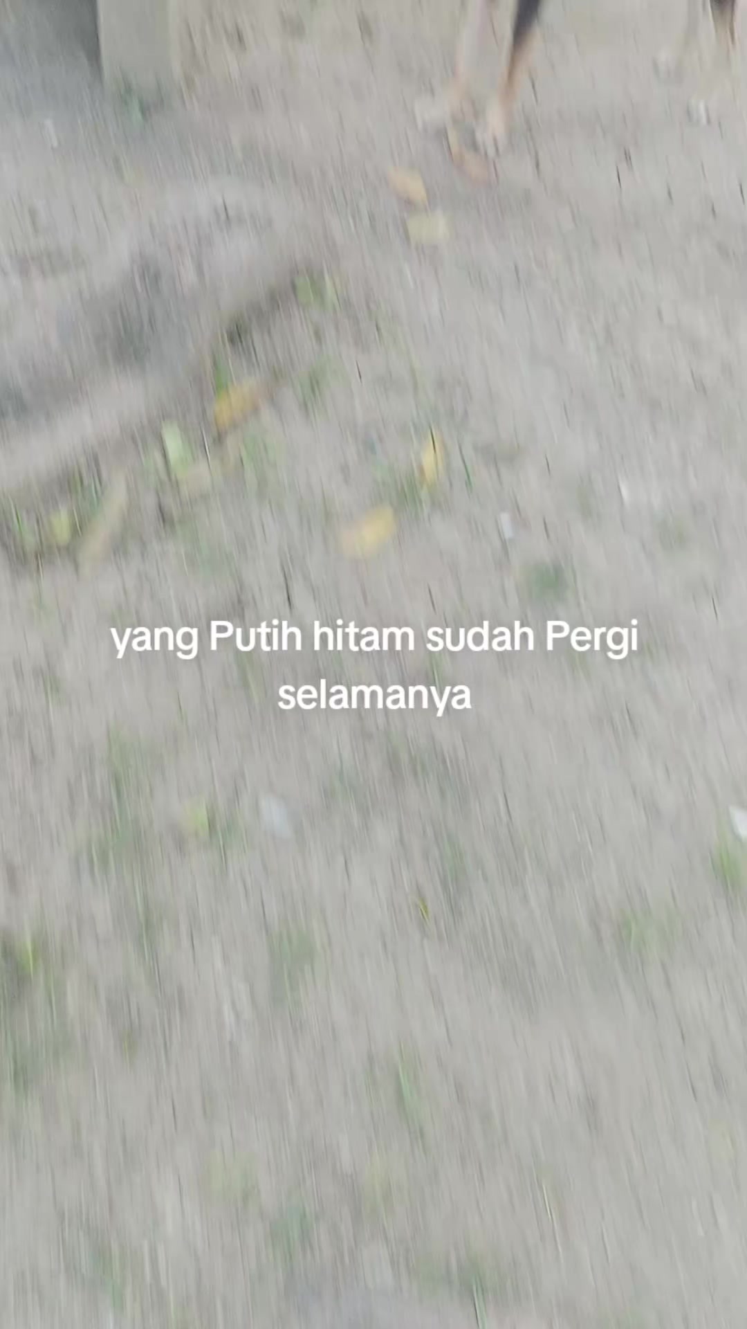 @Ridho 16